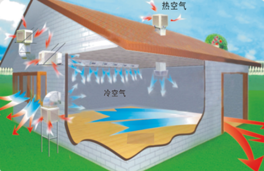 工業(yè)冷風(fēng)機(jī)基本原理